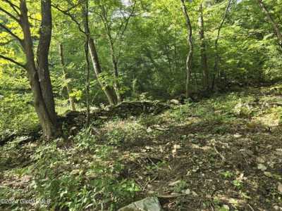Residential Land For Sale in Shushan, New York