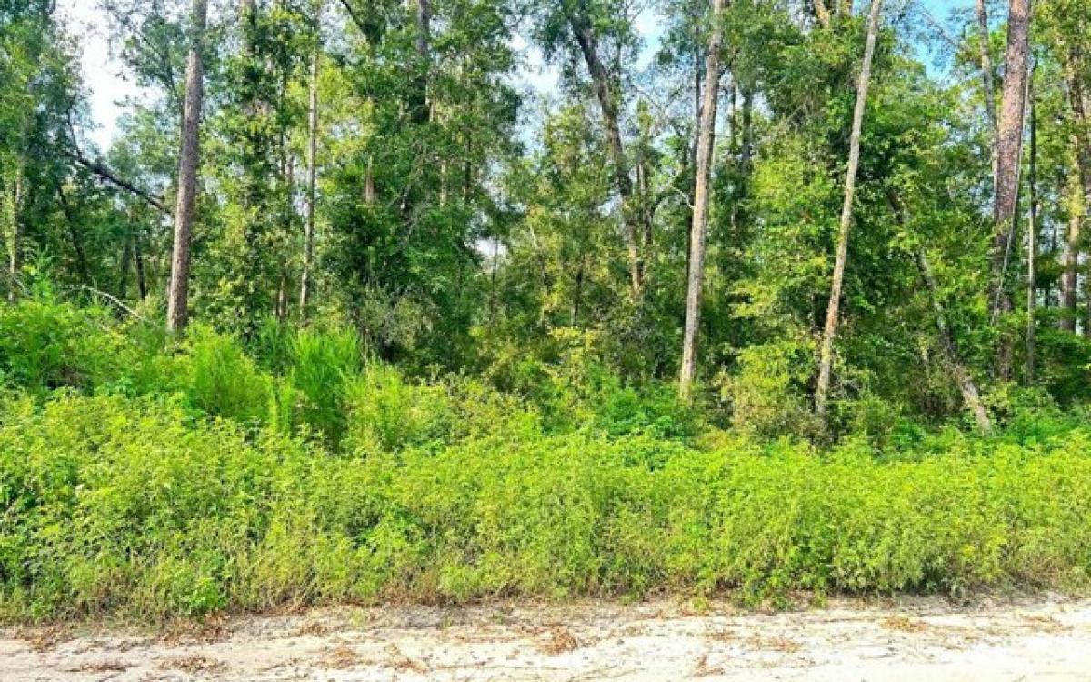 Picture of Residential Land For Rent in Live Oak, Florida, United States