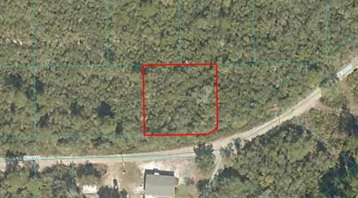 Picture of Residential Land For Rent in Umatilla, Florida, United States