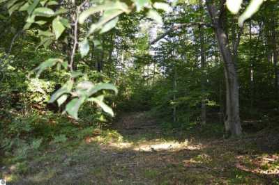Residential Land For Sale in Mancelona, Michigan