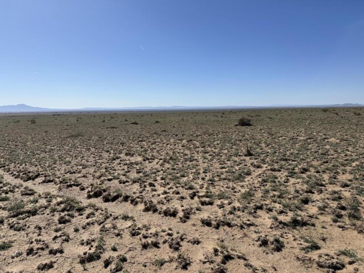 Picture of Residential Land For Rent in Belen, New Mexico, United States