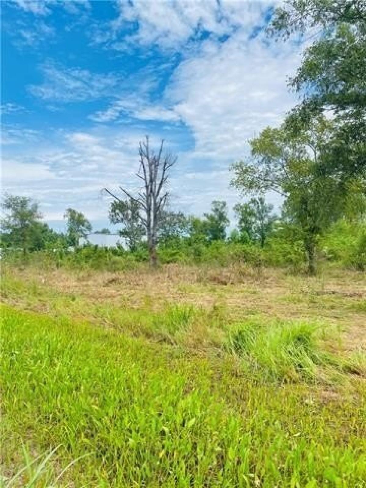 Picture of Residential Land For Sale in Alexandria, Louisiana, United States