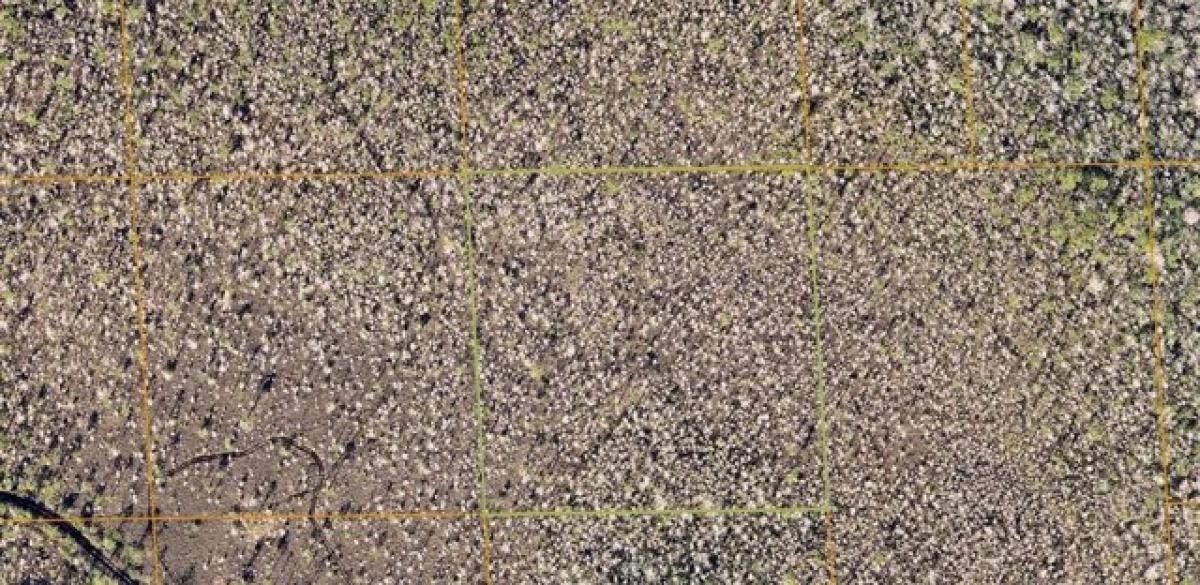 Picture of Residential Land For Rent in Deland, Florida, United States