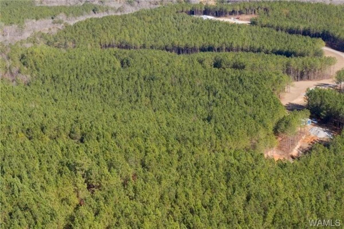 Picture of Residential Land For Sale in Duncanville, Alabama, United States