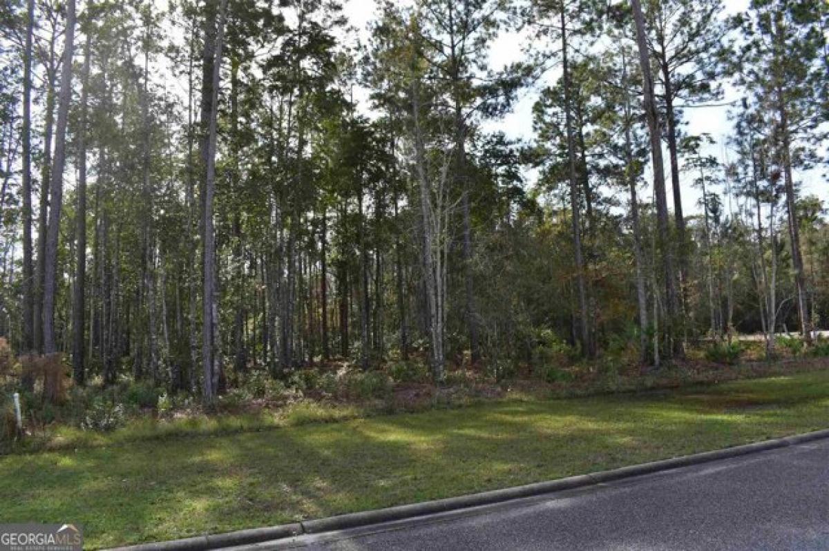 Picture of Residential Land For Sale in Saint Marys, Georgia, United States