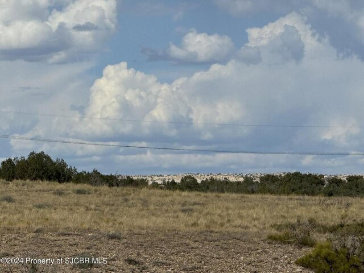 Picture of Residential Land For Sale in Farmington, New Mexico, United States