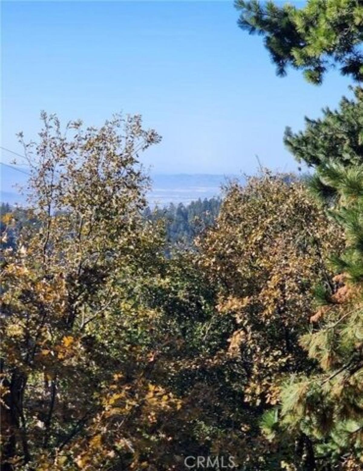 Picture of Residential Land For Sale in Twin Peaks, California, United States