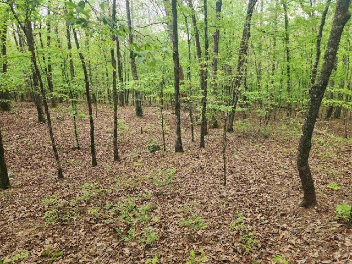 Picture of Residential Land For Rent in Hot Springs Village, Arkansas, United States