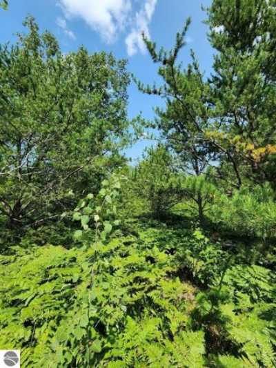 Residential Land For Sale in Mancelona, Michigan