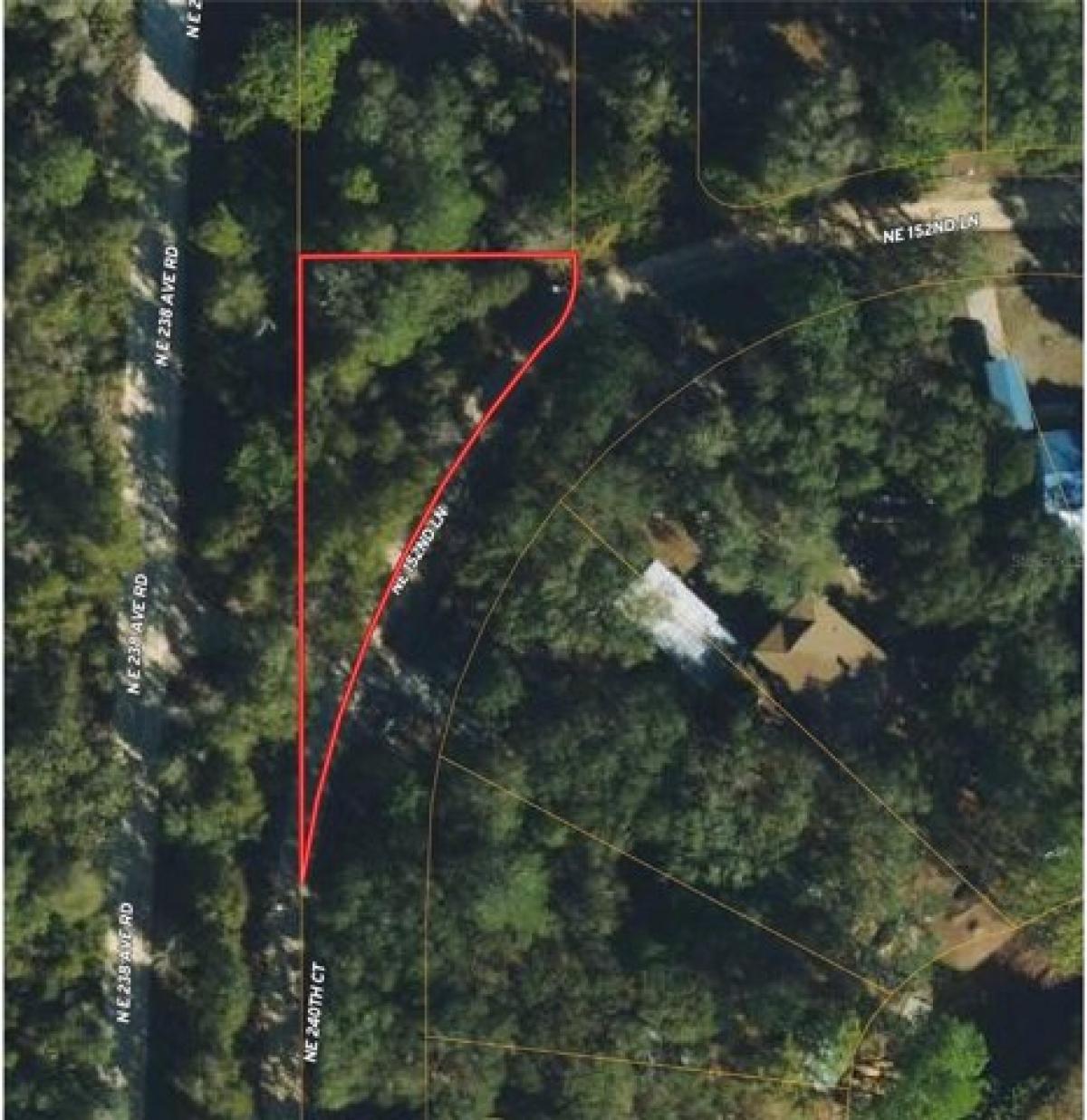 Picture of Residential Land For Rent in Salt Springs, Florida, United States