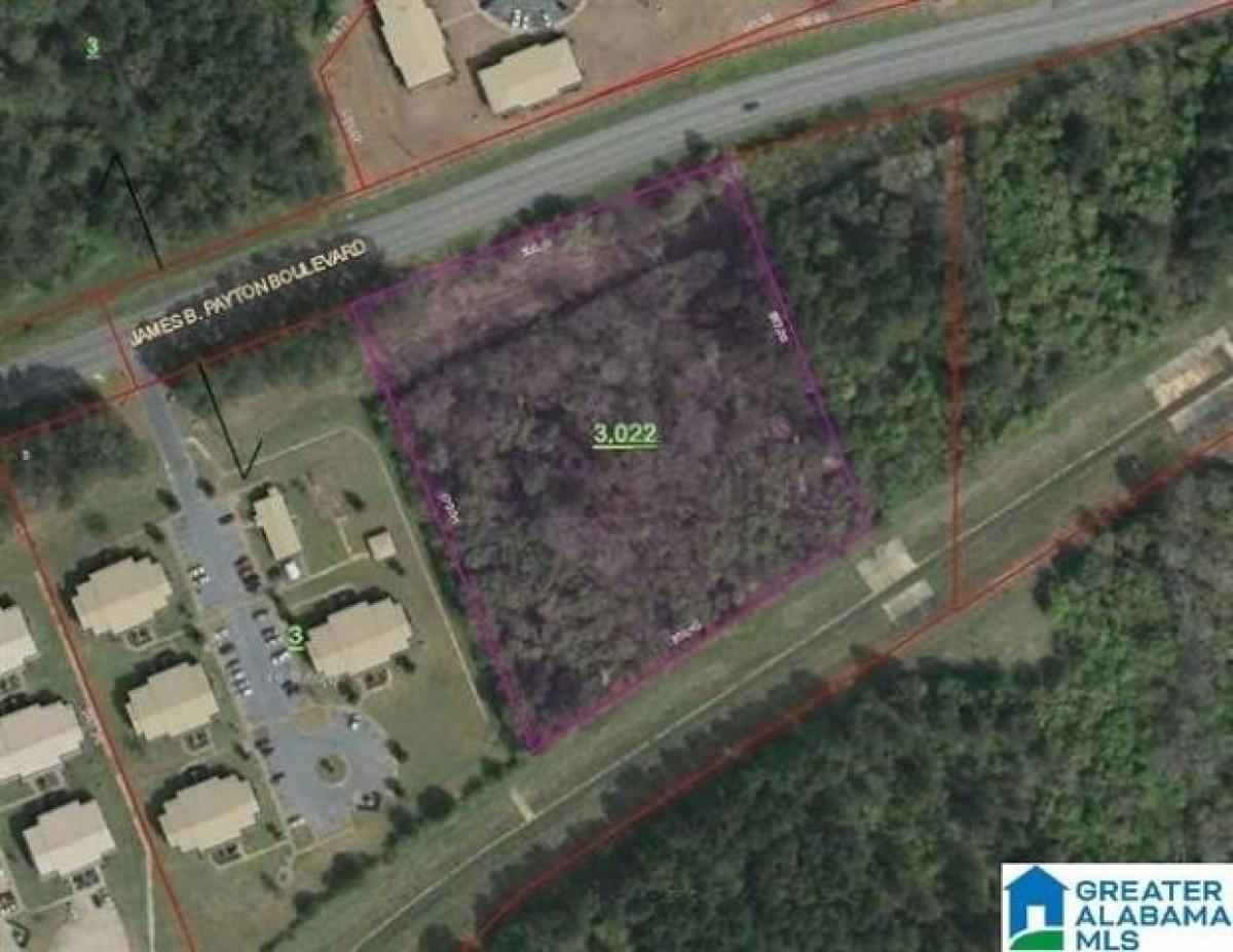 Picture of Residential Land For Sale in Sylacauga, Alabama, United States