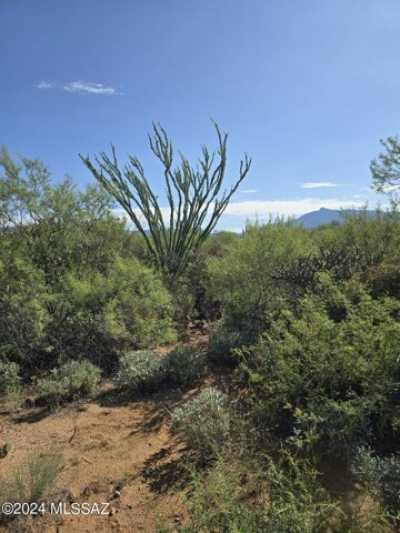 Residential Land For Sale in Vail, Arizona