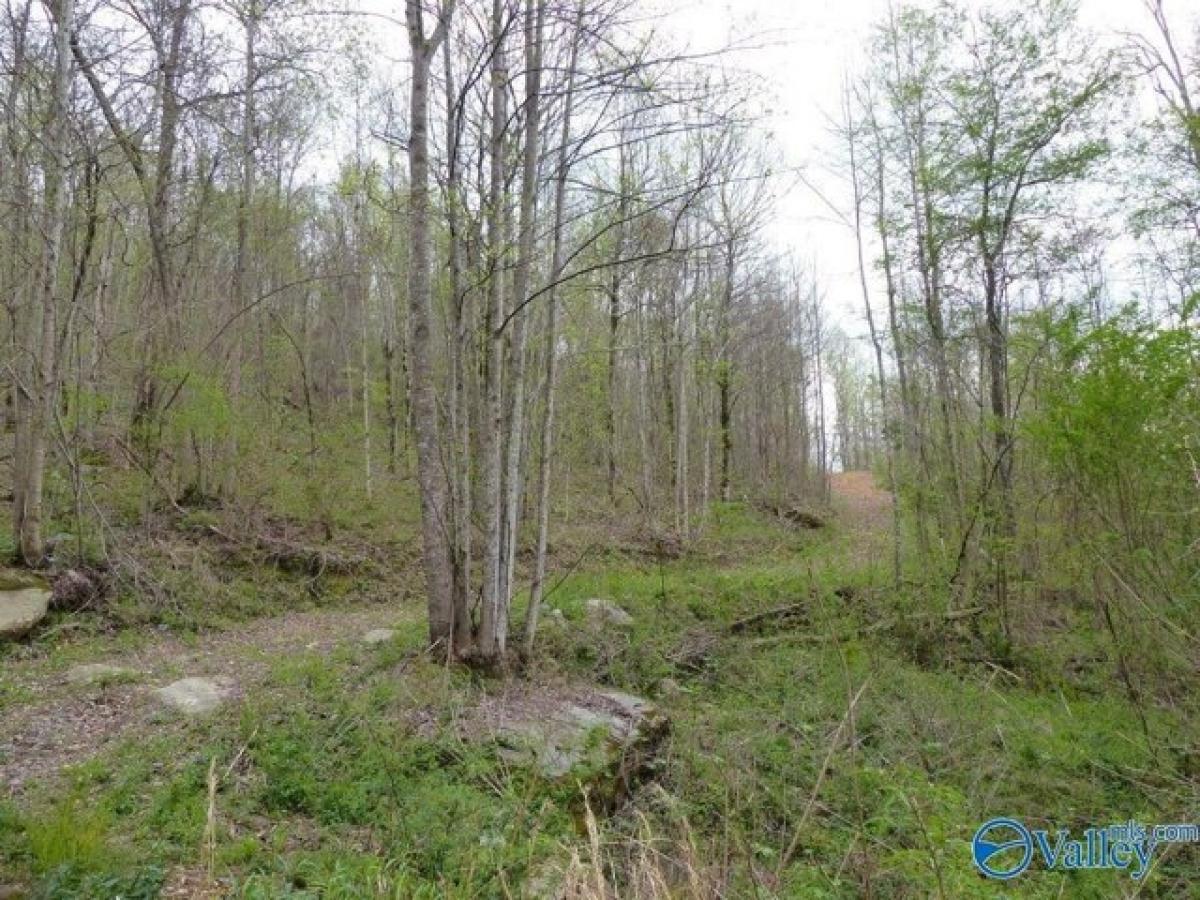 Picture of Residential Land For Sale in Arab, Alabama, United States