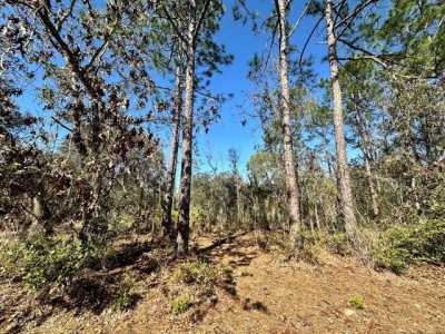 Residential Land For Rent in Williston, Florida