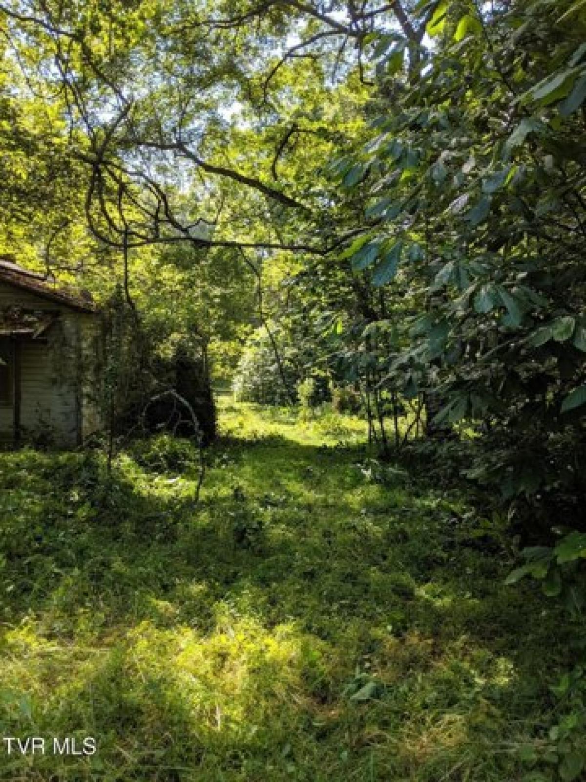 Picture of Residential Land For Sale in Fort Blackmore, Virginia, United States