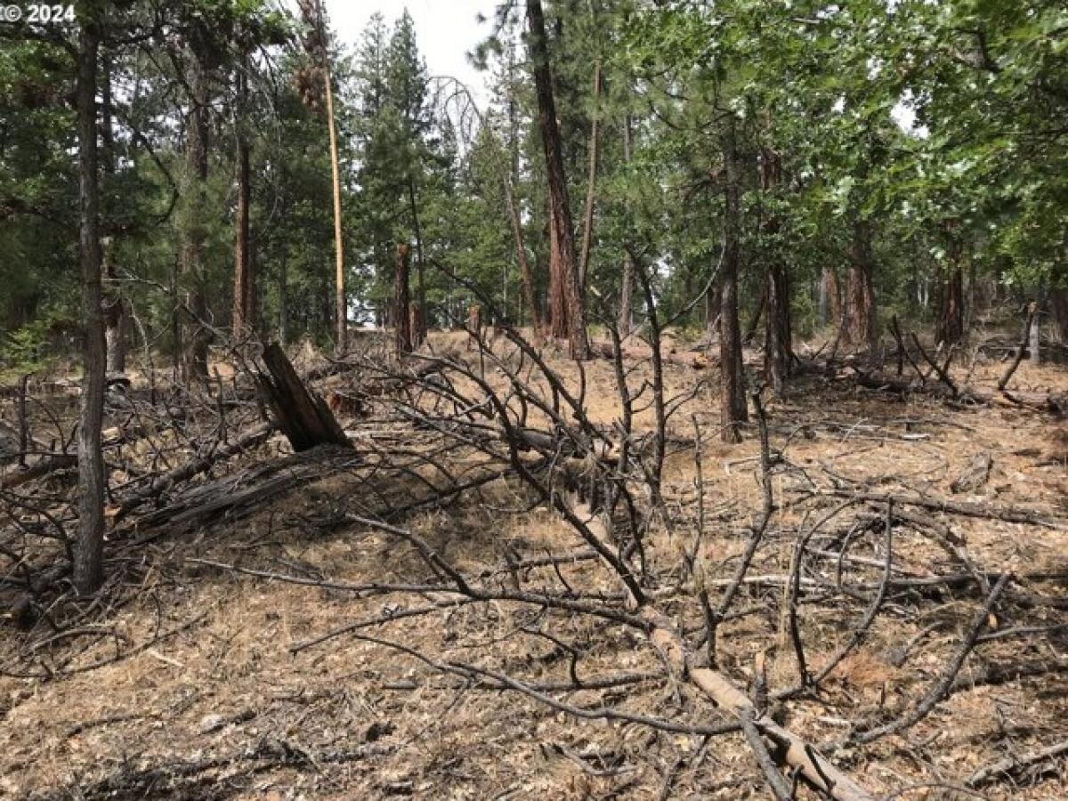 Picture of Residential Land For Sale in Goldendale, Washington, United States