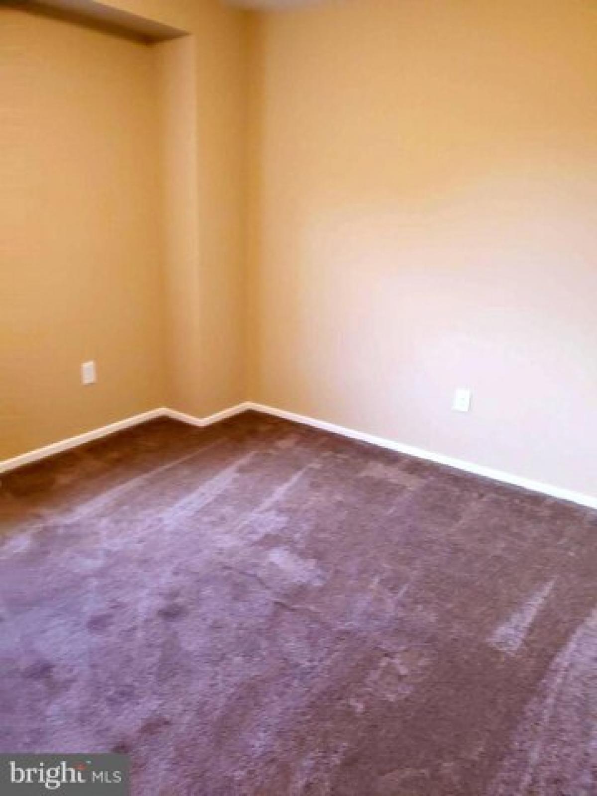 Picture of Home For Rent in Beltsville, Maryland, United States