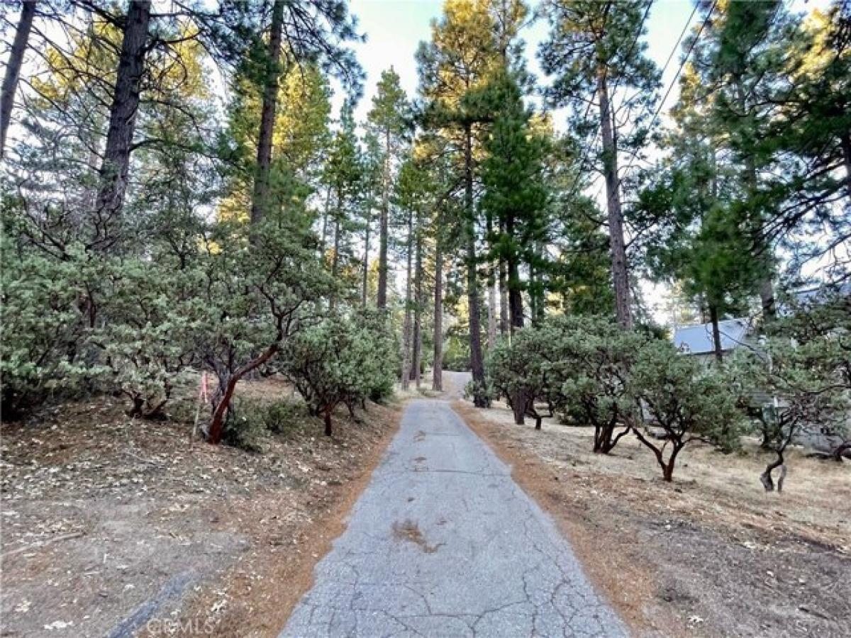 Picture of Residential Land For Sale in Idyllwild, California, United States