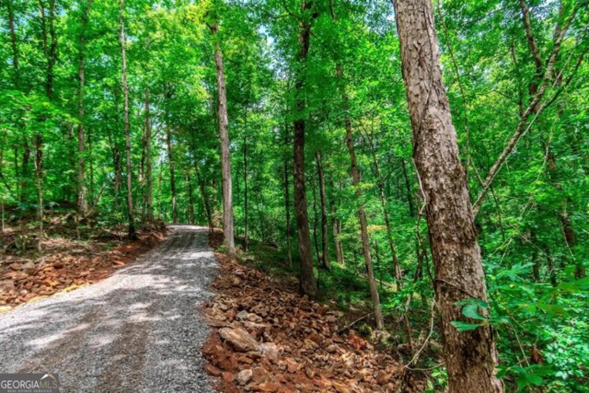 Picture of Residential Land For Sale in Cleveland, Georgia, United States