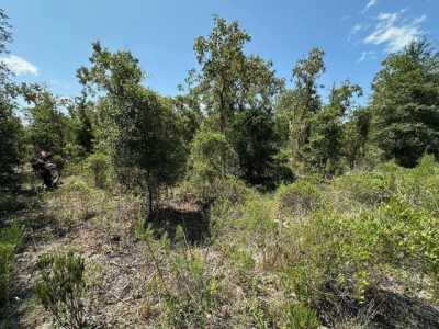 Residential Land For Rent in Williston, Florida