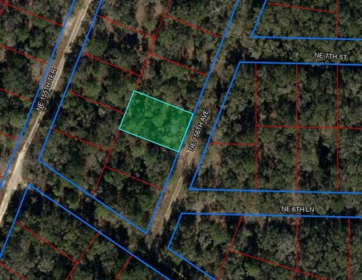 Picture of Residential Land For Rent in Williston, Florida, United States