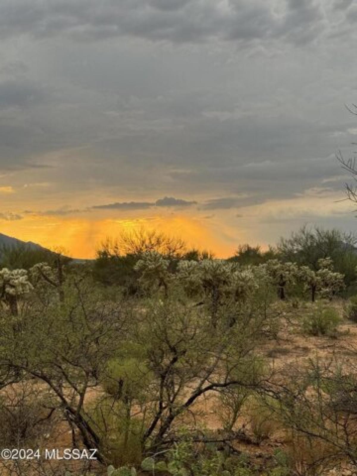 Picture of Residential Land For Rent in Tucson, Arizona, United States