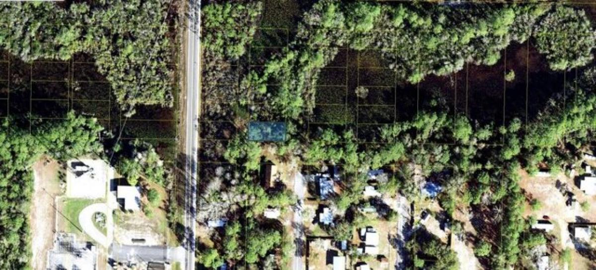 Picture of Residential Land For Rent in Carrabelle, Florida, United States
