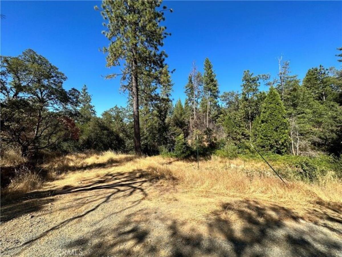 Picture of Residential Land For Sale in Oroville, California, United States