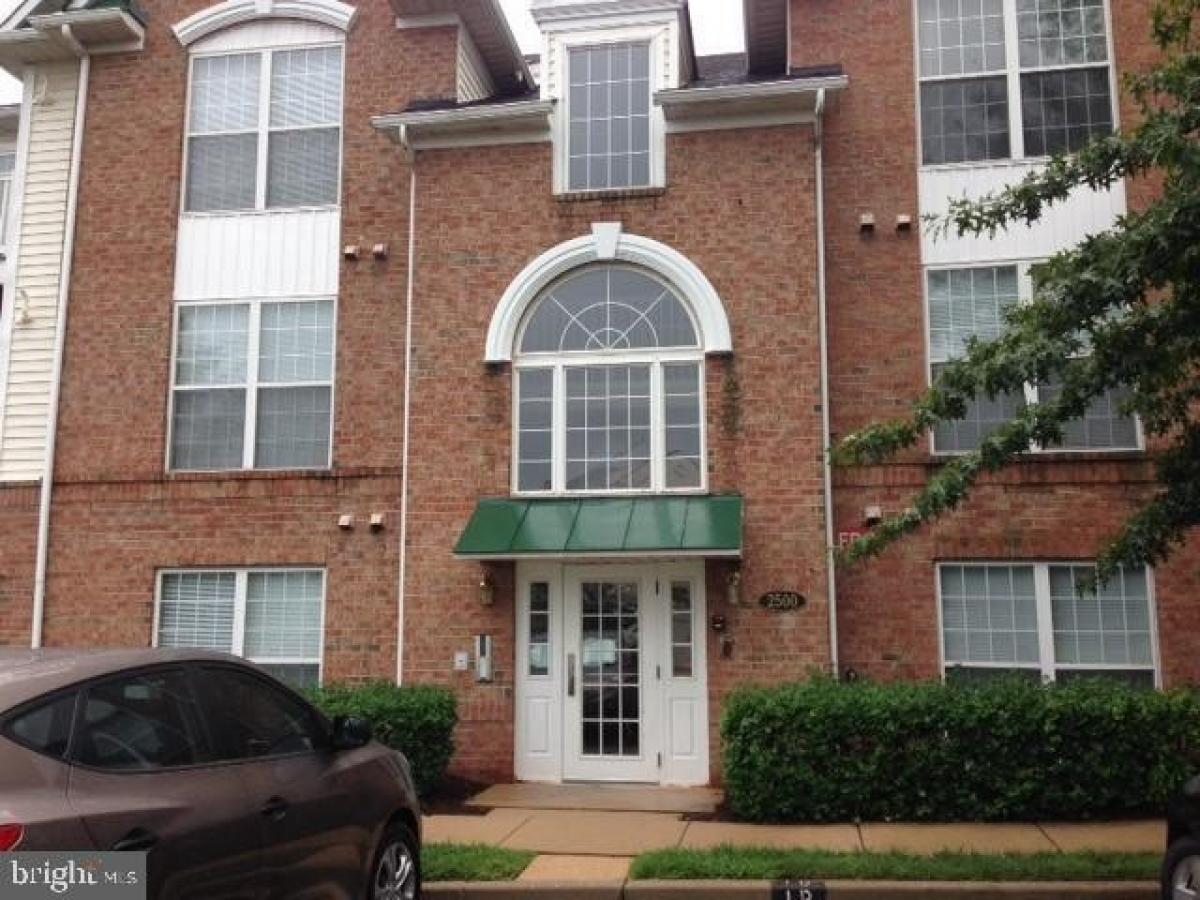 Picture of Home For Rent in Frederick, Maryland, United States