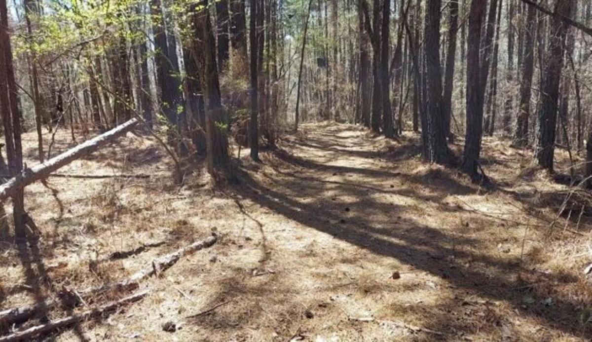 Picture of Residential Land For Sale in Franklin, Georgia, United States