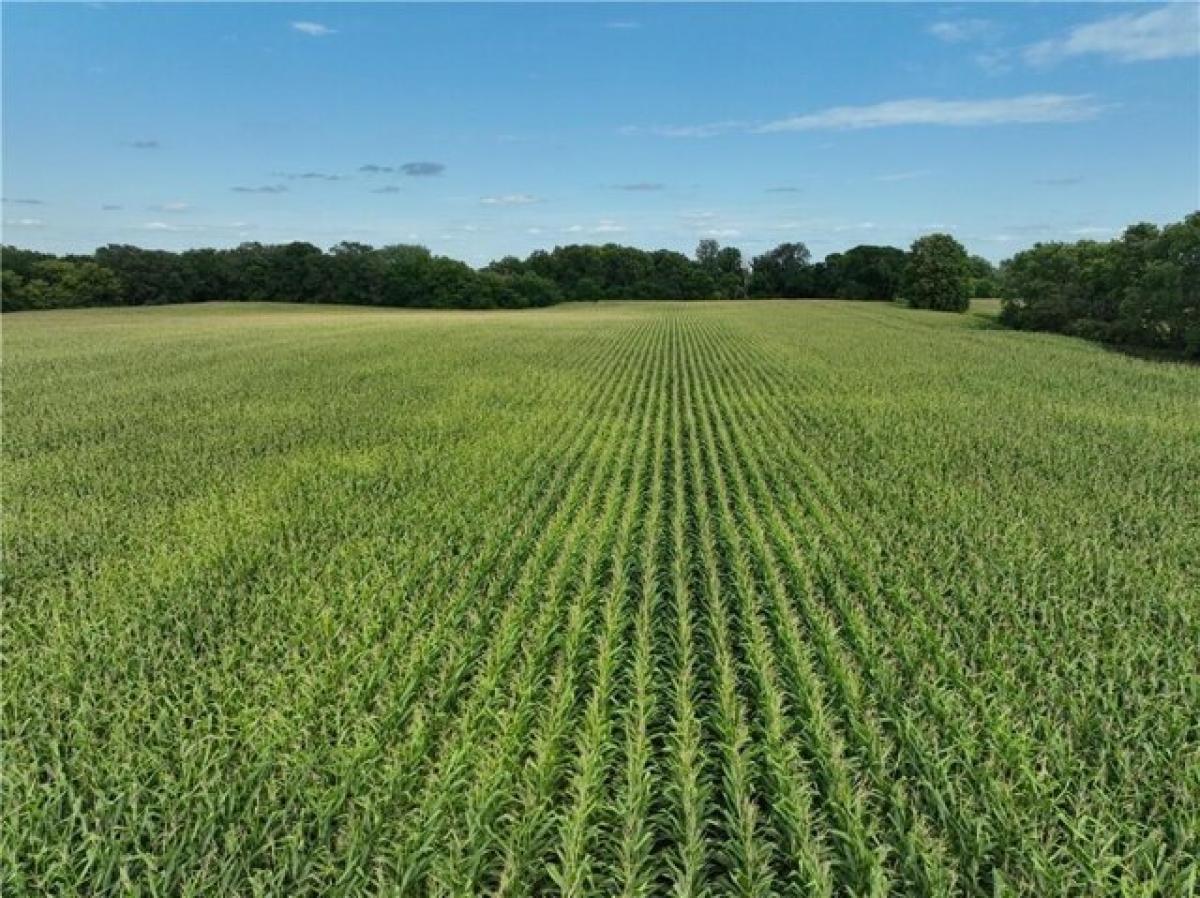 Picture of Residential Land For Rent in Webster City, Iowa, United States