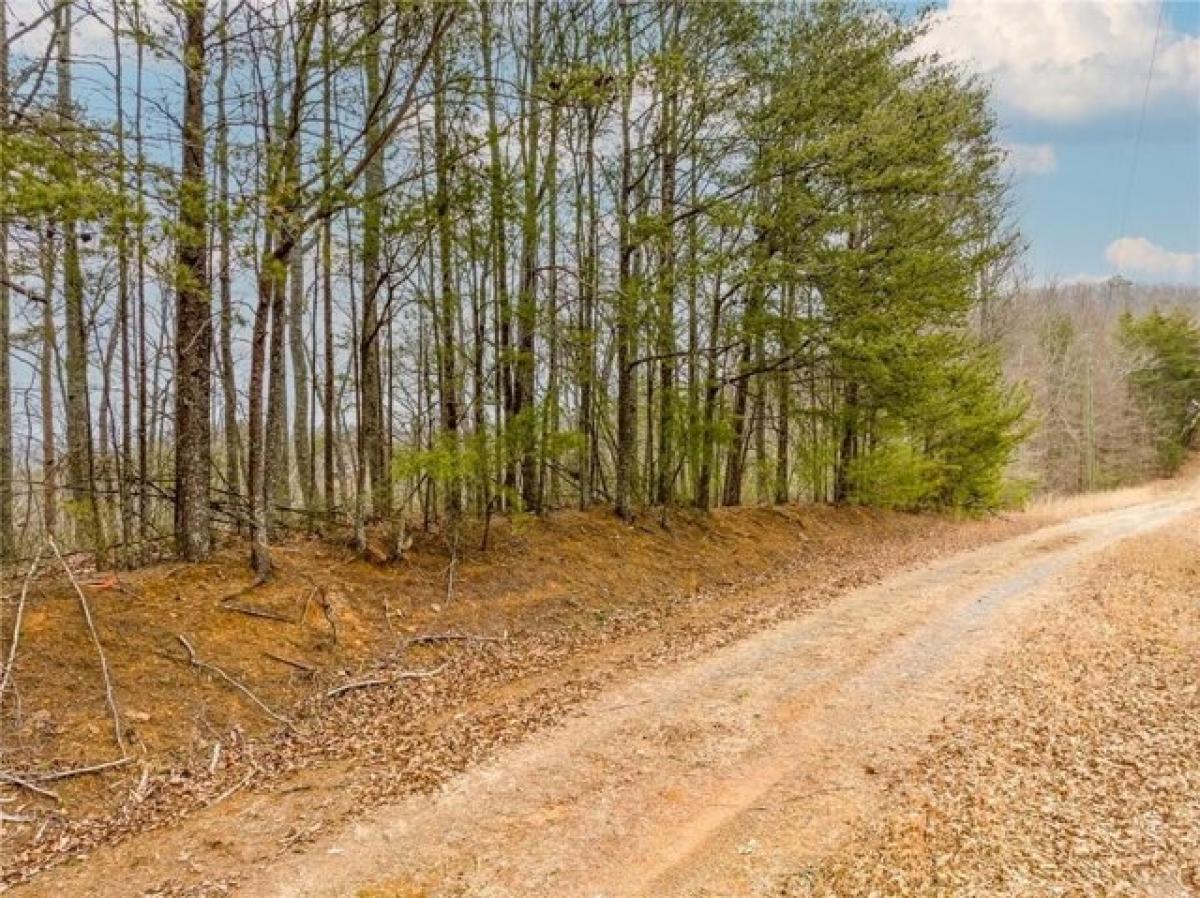 Picture of Residential Land For Sale in Ranger, Georgia, United States