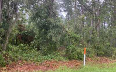Residential Land For Sale in Jasper, Florida