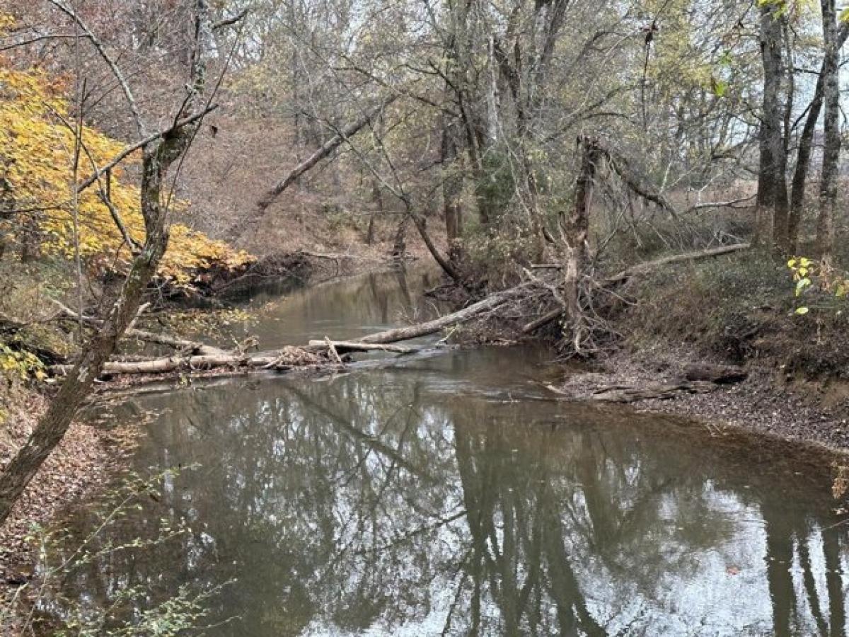 Picture of Residential Land For Sale in Delano, Tennessee, United States