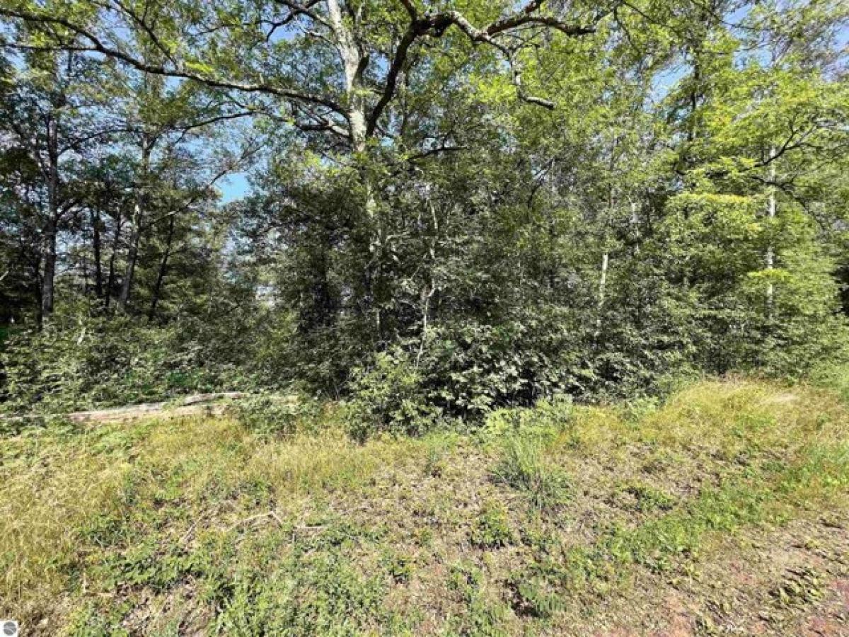 Picture of Residential Land For Rent in Baldwin, Michigan, United States