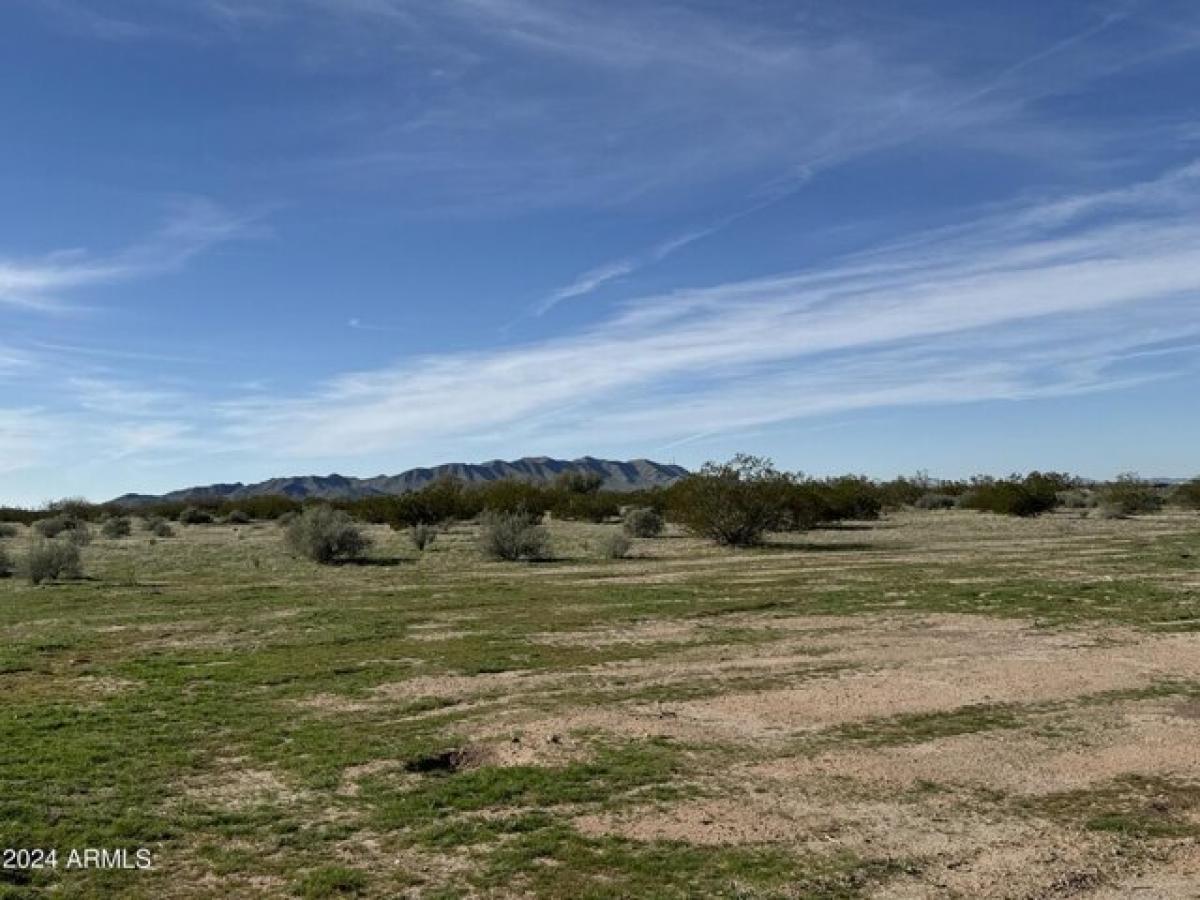 Picture of Residential Land For Rent in Eloy, Arizona, United States