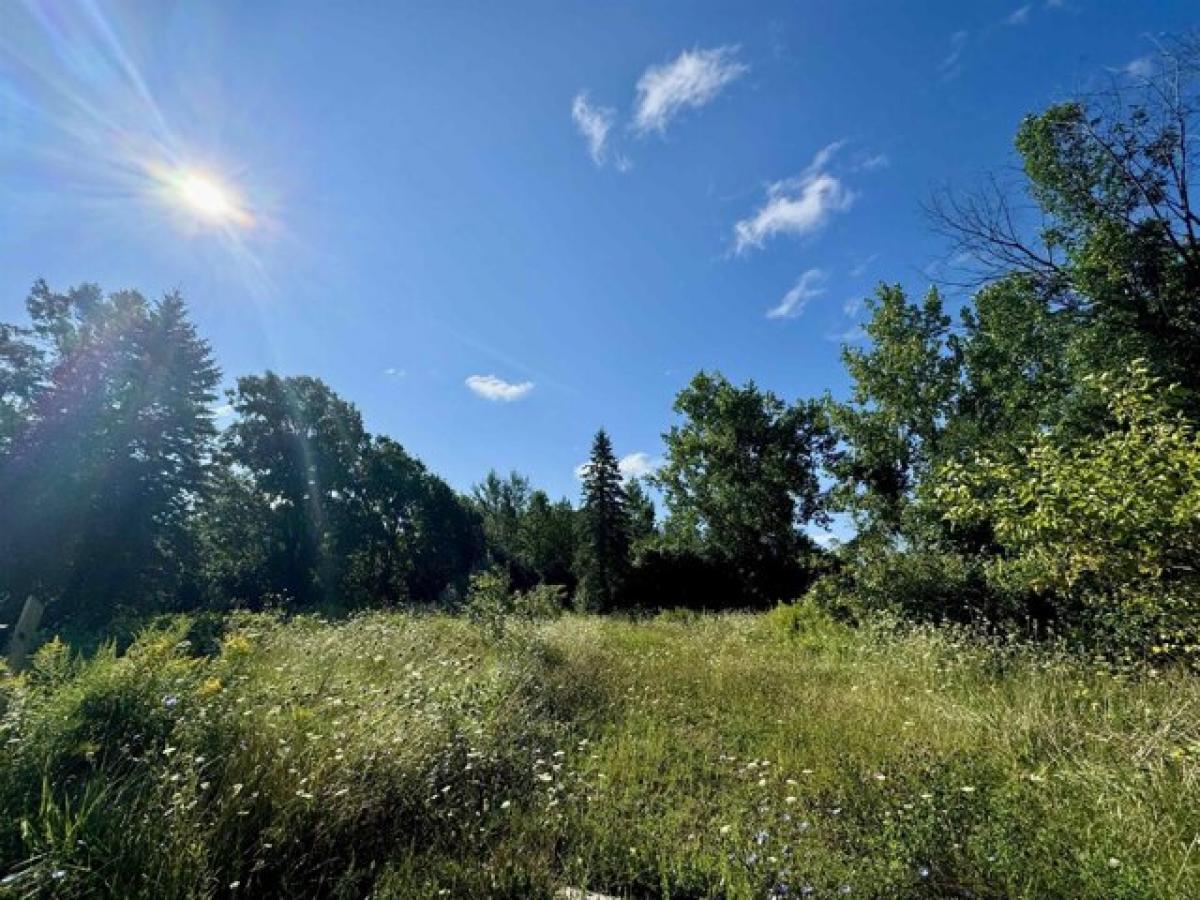 Picture of Residential Land For Rent in Linwood, Michigan, United States