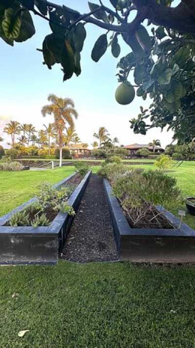 Residential Land For Sale in Kamuela, Hawaii