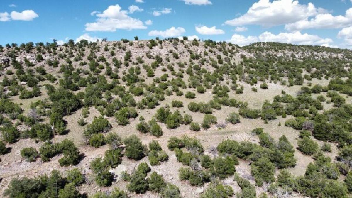 Picture of Residential Land For Rent in Thoreau, New Mexico, United States