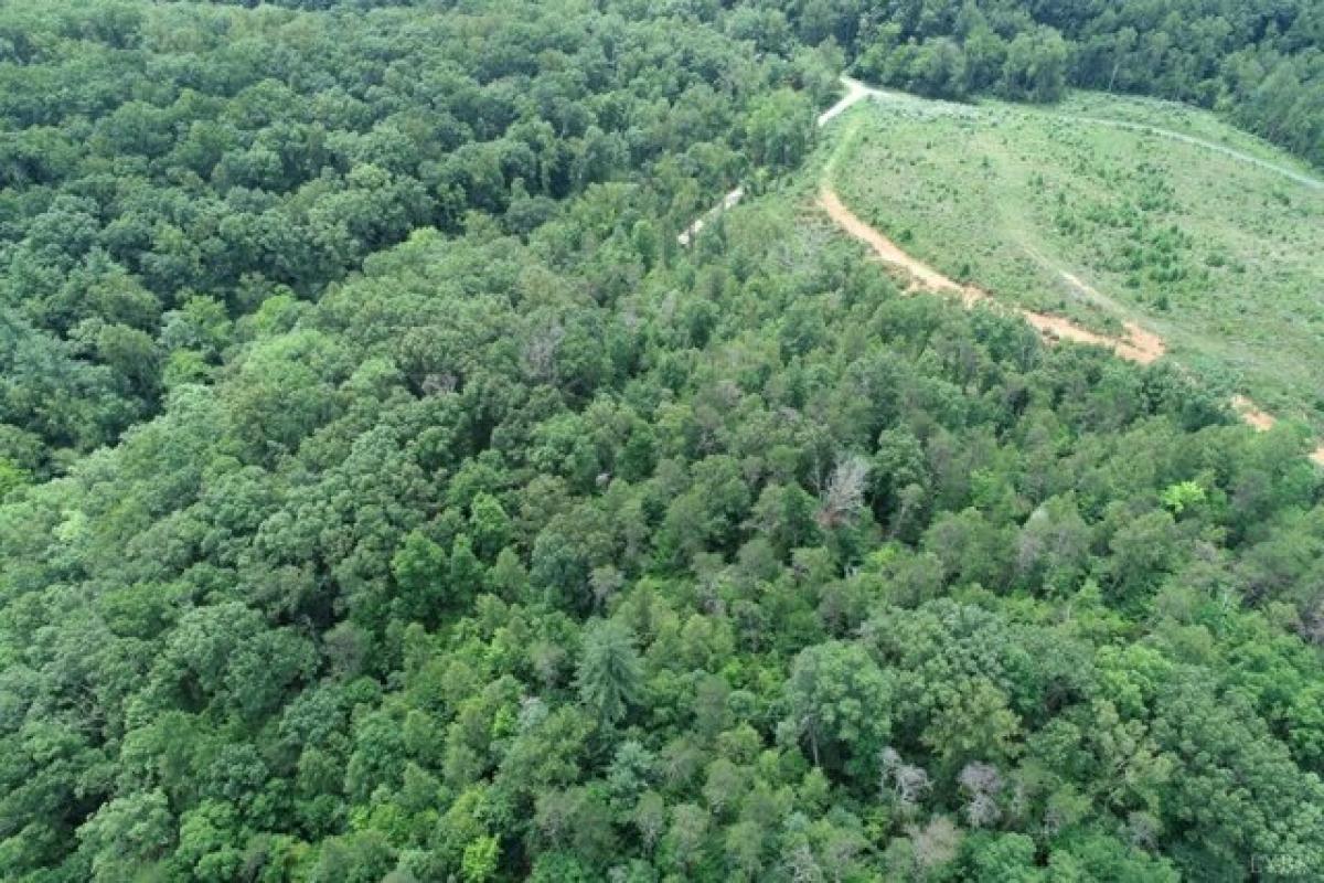 Picture of Residential Land For Sale in Arrington, Virginia, United States