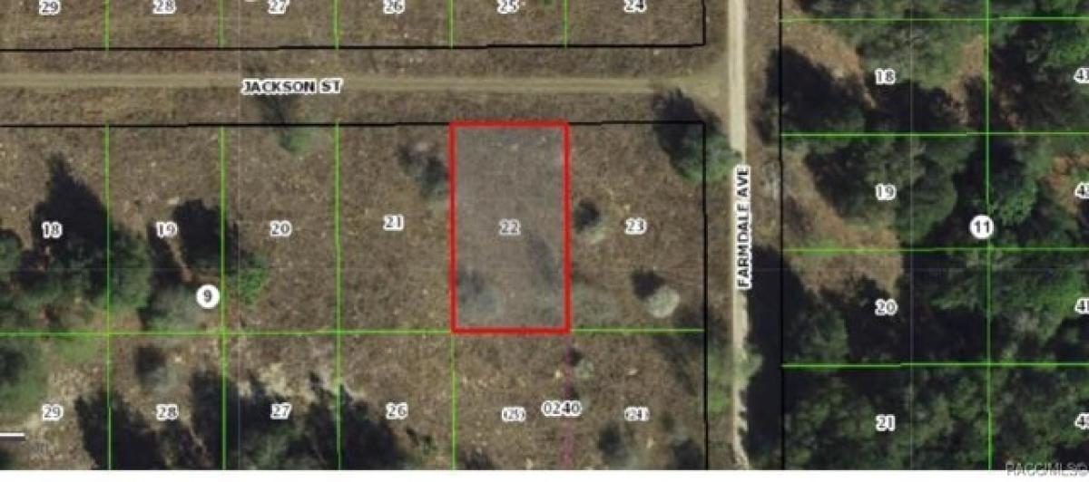 Picture of Residential Land For Rent in Inverness, Florida, United States