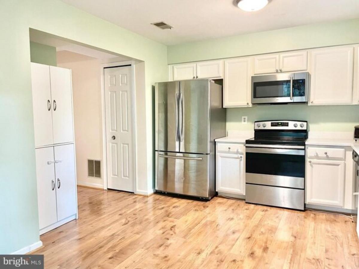 Picture of Home For Rent in Springfield, Virginia, United States