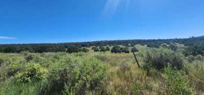 Residential Land For Sale in Tijeras, New Mexico