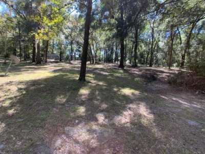 Residential Land For Sale in Reddick, Florida