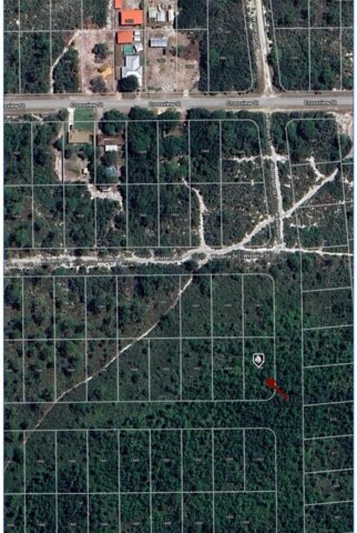 Picture of Residential Land For Rent in Lake Placid, Florida, United States