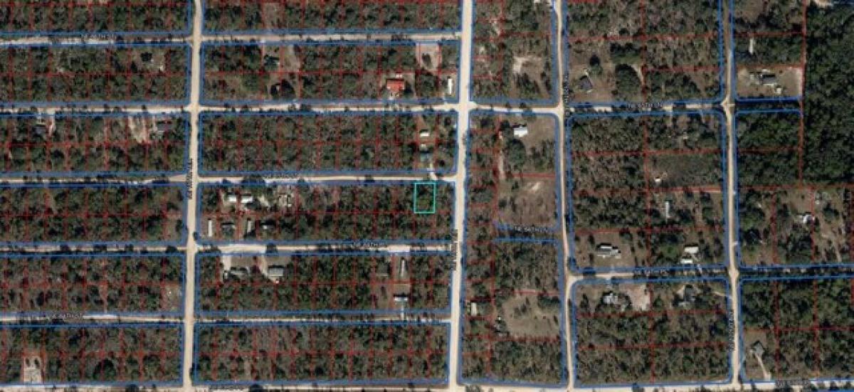Picture of Residential Land For Rent in Williston, Florida, United States