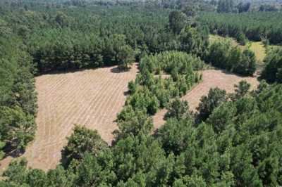 Residential Land For Sale in Andrews, South Carolina