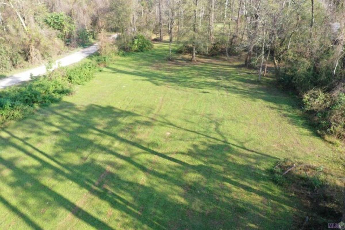 Picture of Residential Land For Sale in Denham Springs, Louisiana, United States