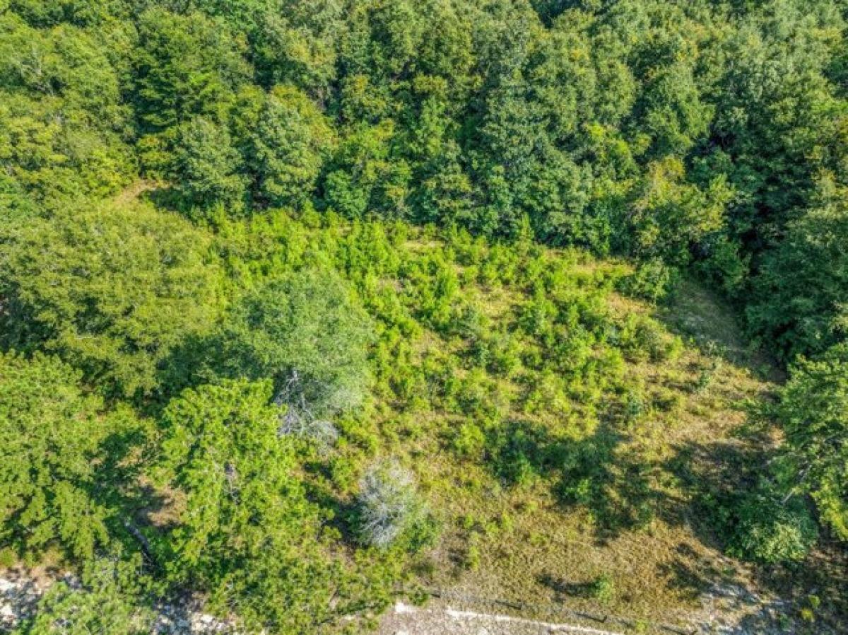 Picture of Residential Land For Sale in Beaumont, Mississippi, United States