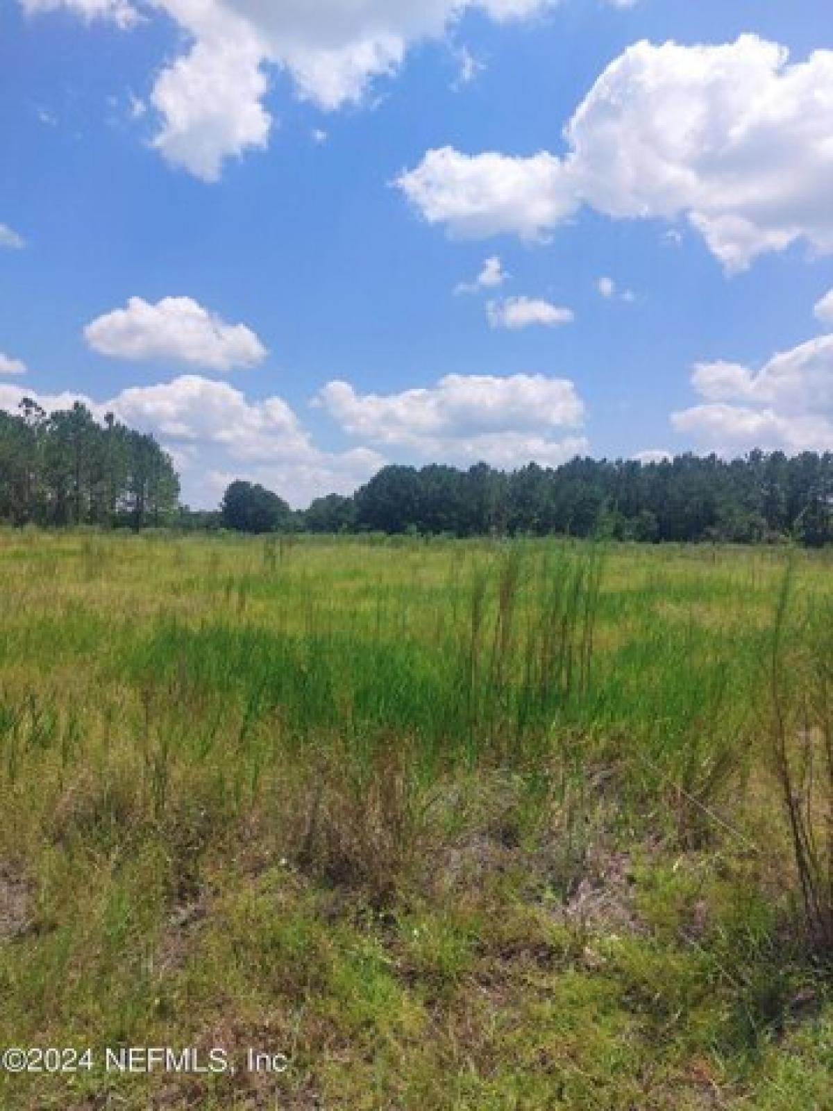 Picture of Residential Land For Sale in Middleburg, Florida, United States